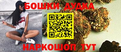 молекула духа Пугачёв