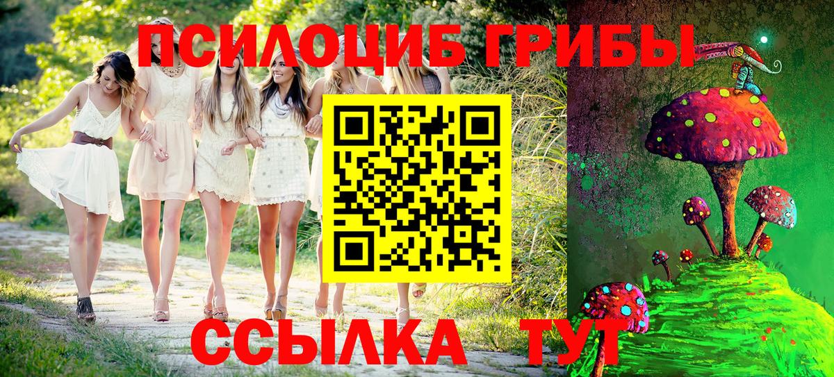 Галлюциногенные грибы Psilocybe Гулькевичи